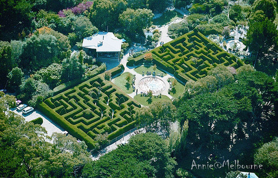 Ashcombe Maze & Lavender Gardens旅游景点图片