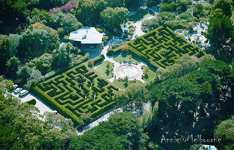 Ashcombe Maze & Lavender Gardens的图片