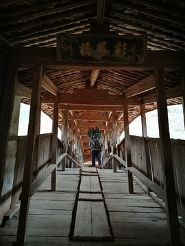 彩凤桥的图片