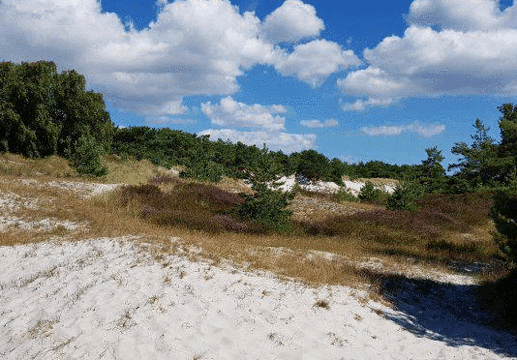 Strandmarken Dueodde旅游景点图片