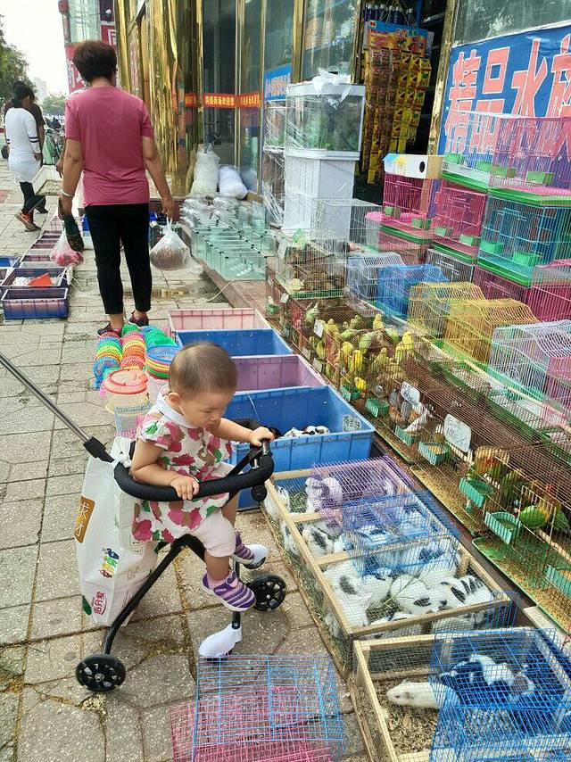 青县站