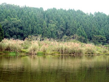 五凤山森林公园