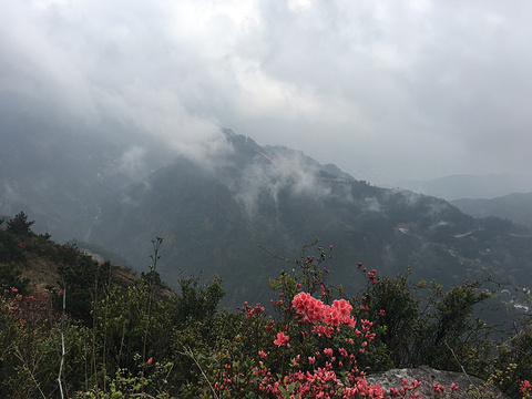 灵山顶景区旅游景点图片