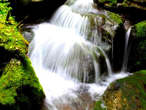 威虎山国家森林公园旅游景点图片