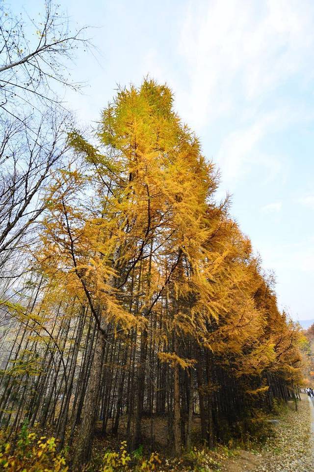 喇叭沟门满族民俗博物馆