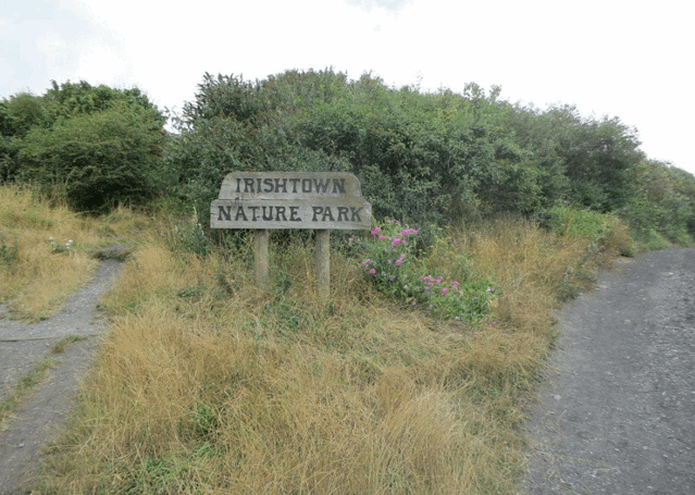 爱尔兰镇自然保护区