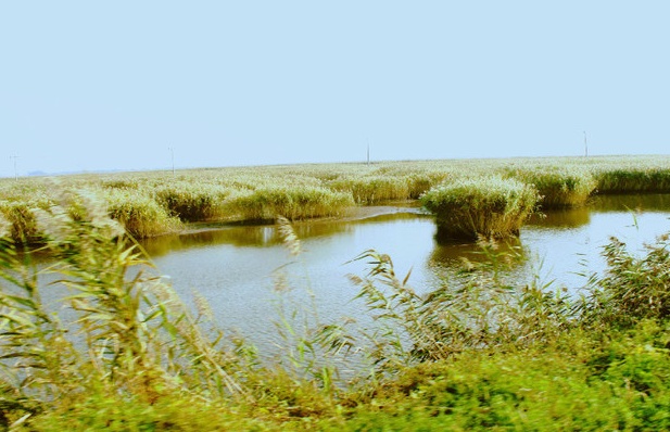 月牙湾湿地公园