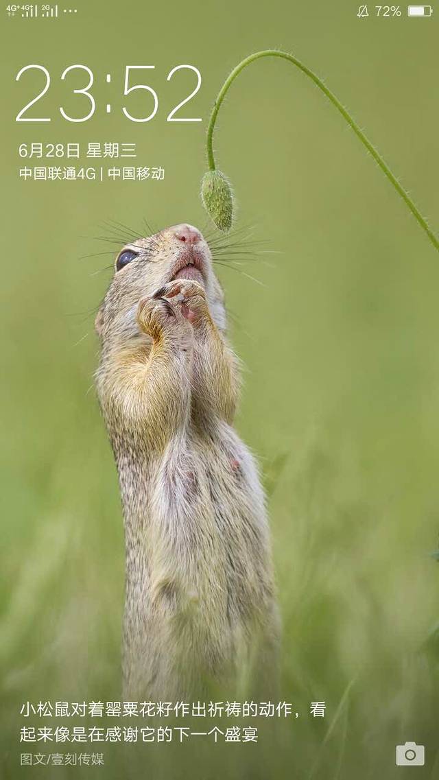 古茗(天星路店)