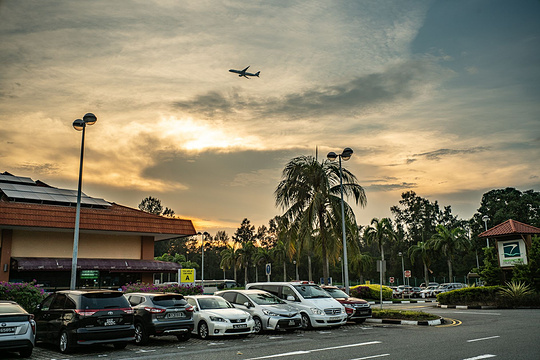 Tanah Merah Ferry Terminal旅游景点图片
