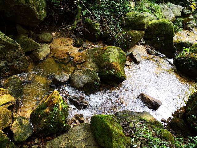 罗田县薄刀峰风景区东篱下农家乐