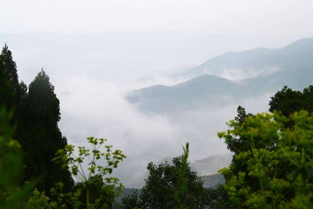 金粟山森林公园