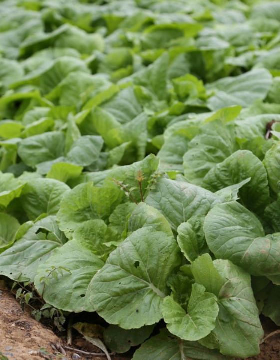 慧心雅社(东湖风景区店)