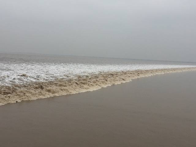 丁桥镇西捍沙庙