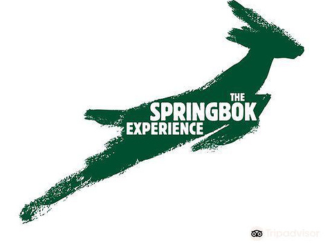 The Springbok Experience Rugby Museum旅游景点图片