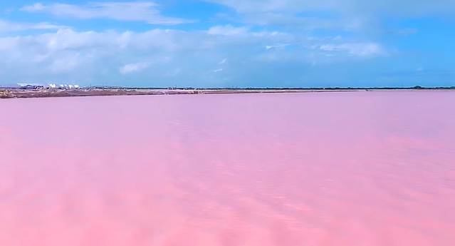 粉色盐湖