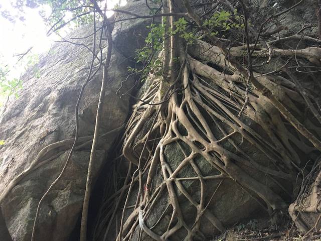 台山北峰山国家森林公园