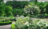 Karuizawa Lake Garden