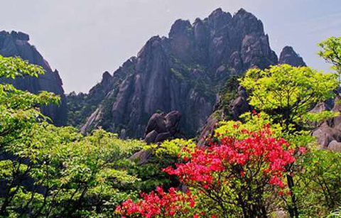沉积岩山峰-桃花峰的图片