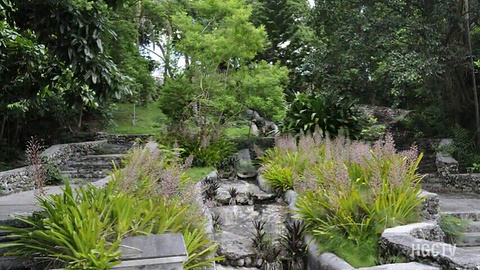 Nassau Botanical Gardens的图片