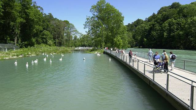 Zoological Garden Dahlholzli