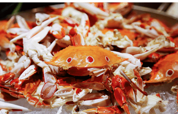 三正半山温泉酒店(东莞塘厦店)·沙利文西餐厅