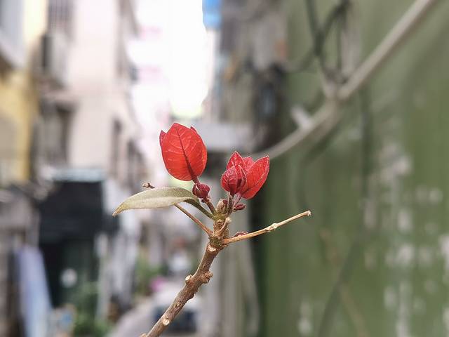 太阳山艺术中心