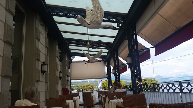 Restaurant Schwanen Cafe de Ville旅游景点图片