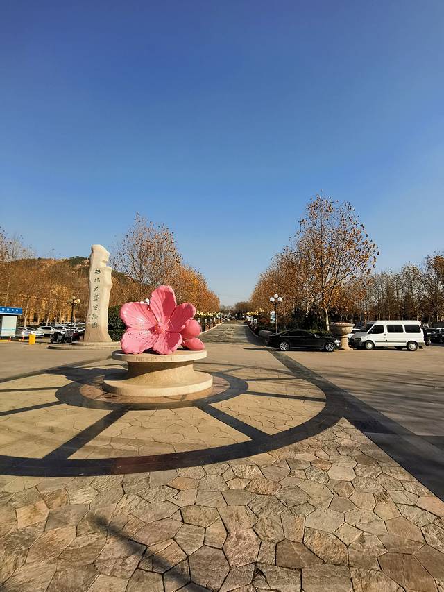 青岛枯桃花卉交易中心