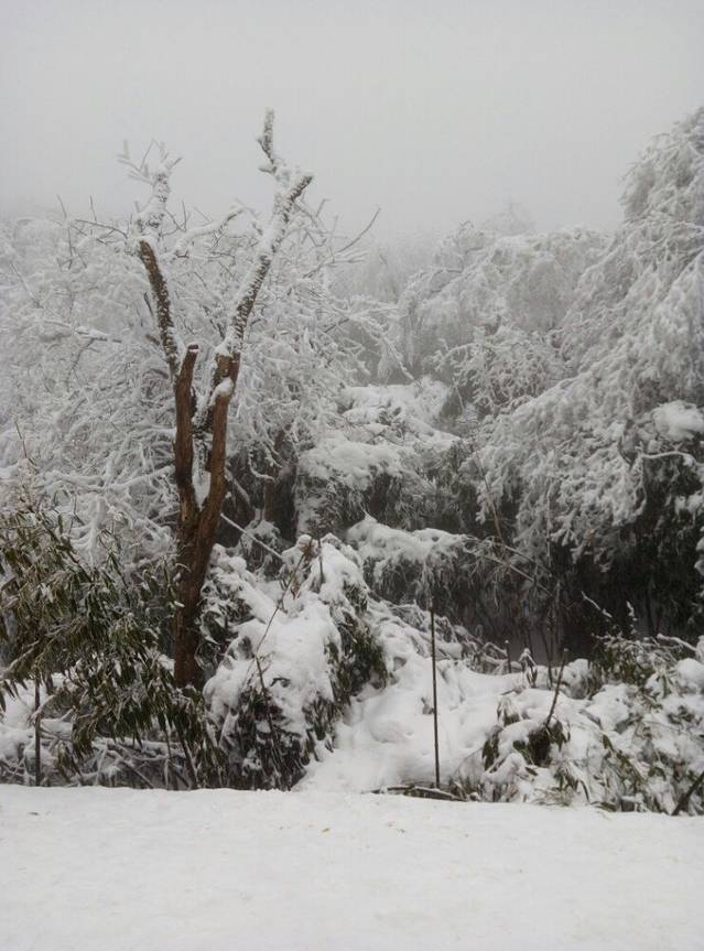 骆騋山风景名胜区