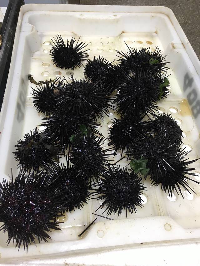 嵊山水产品市场