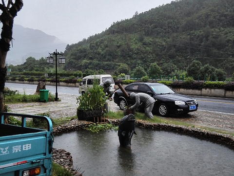 鱼头江湖(安仁鱼头)旅游景点图片