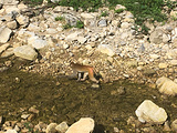 野浪谷风景区