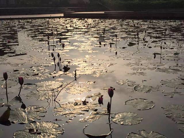 梅州市华侨博物馆