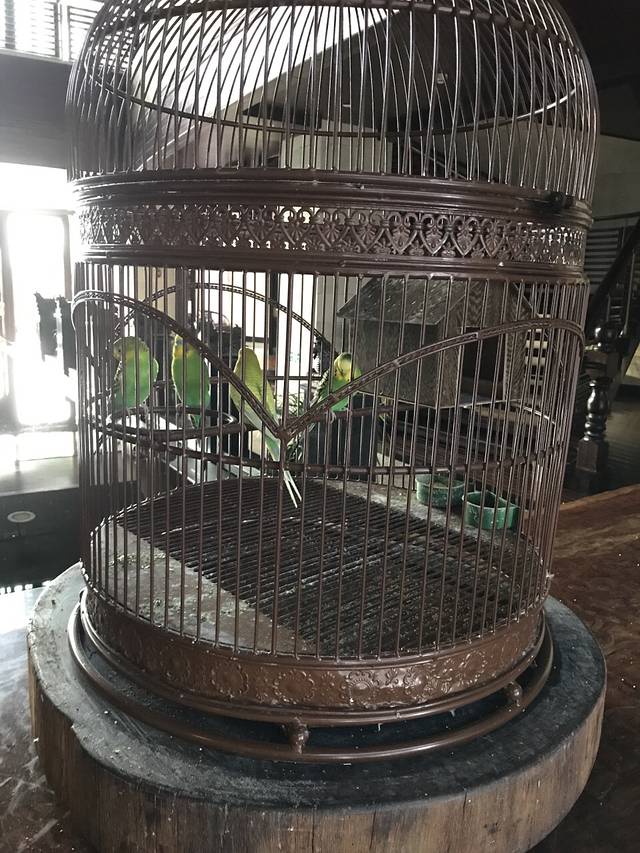 翡翠湖建国度假酒店·餐厅