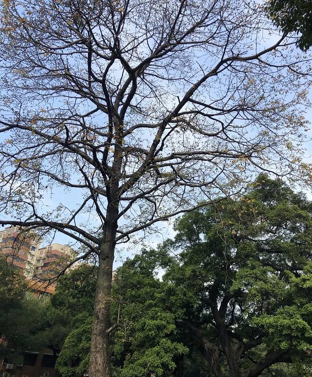 广州市越秀区少年儿童图书馆