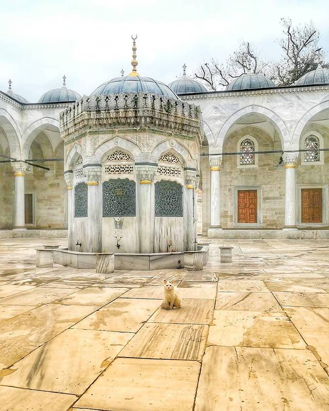 新皇太后清真寺