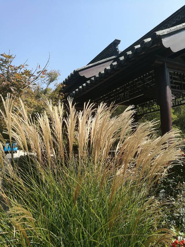 栖霞山名胜风景区-太虚亭