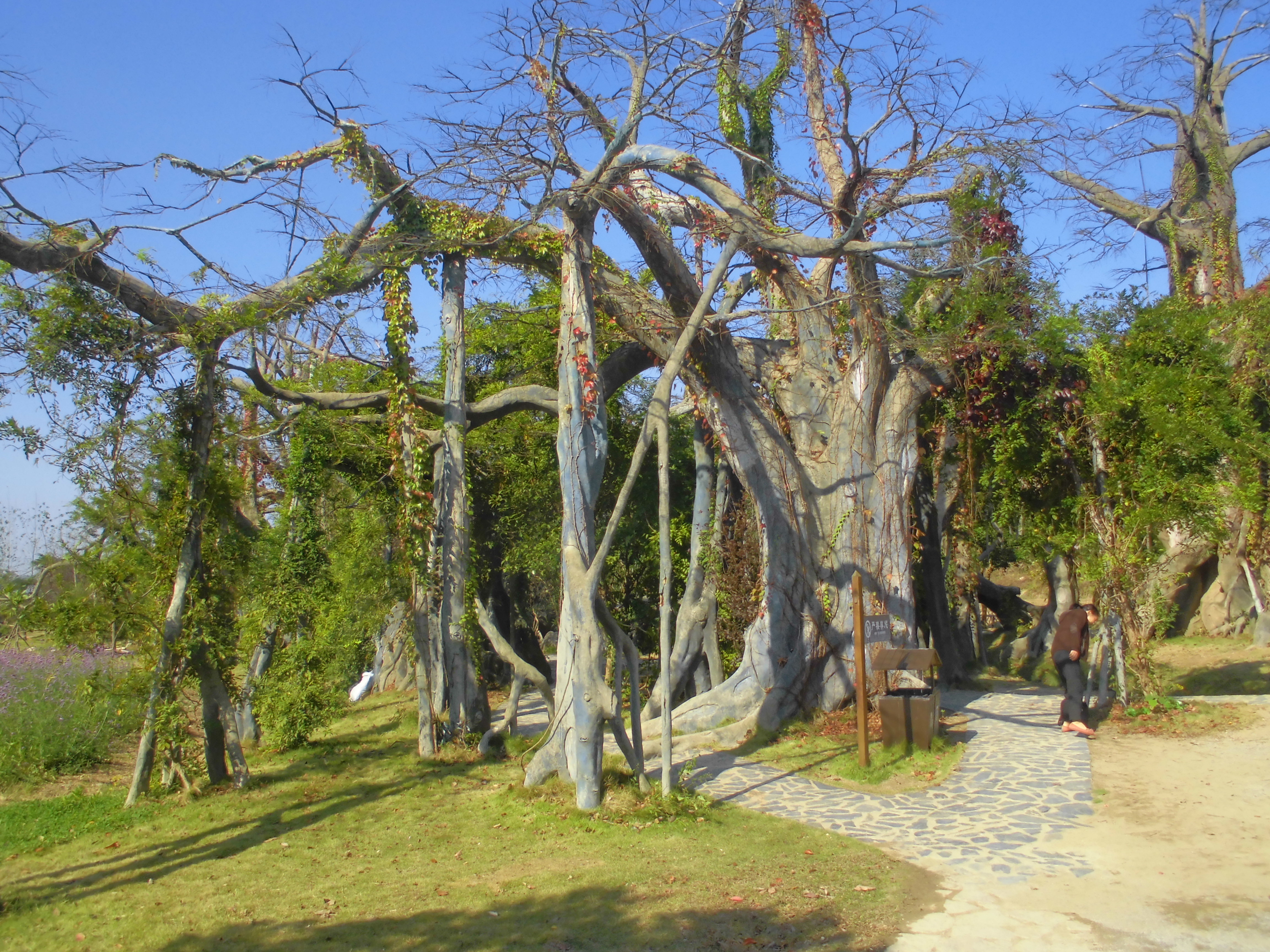 神雕侠侣影视城