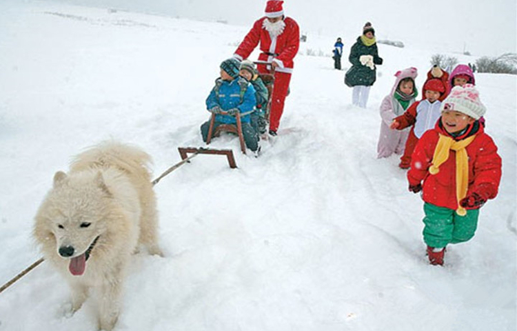 凤麒庄园-滑雪场