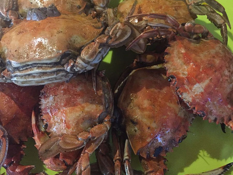 蓬莱饭店全季海鲜自助百汇旅游景点图片