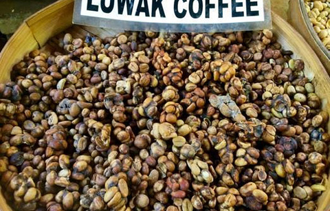Cafe Luwak at Luwak Ubud Villas的图片