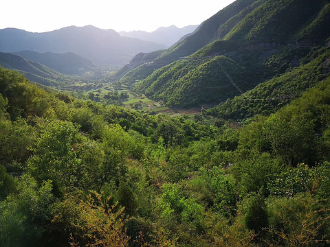 天阶山国家森林公园旅游景点图片