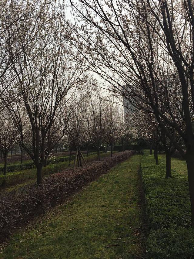 西华大学（南门）