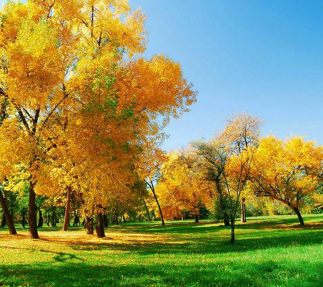 中国科学院合肥物质科学研究院