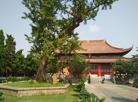 苏州文庙旅游景点图片