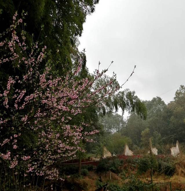 太阳山森林公园