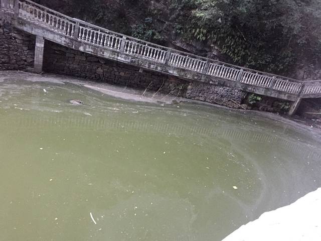 福地洞天篝火晚会