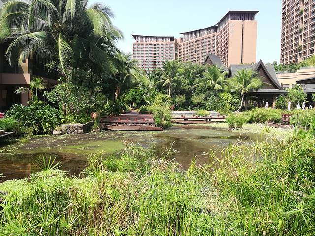 三亚红树林公园