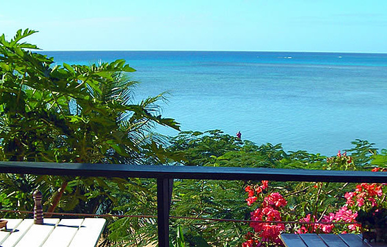 Coconut Grove Oceanfront Restaurant旅游景点图片