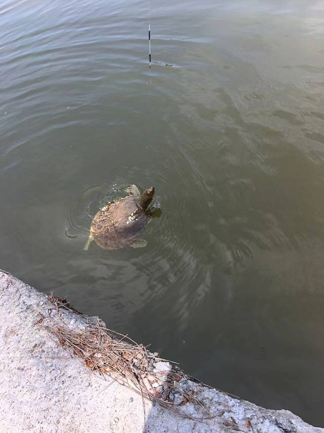 穿岩十九峰山晓农庄